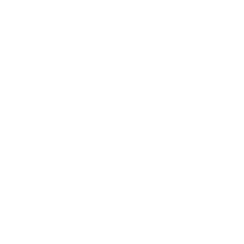 Zomm